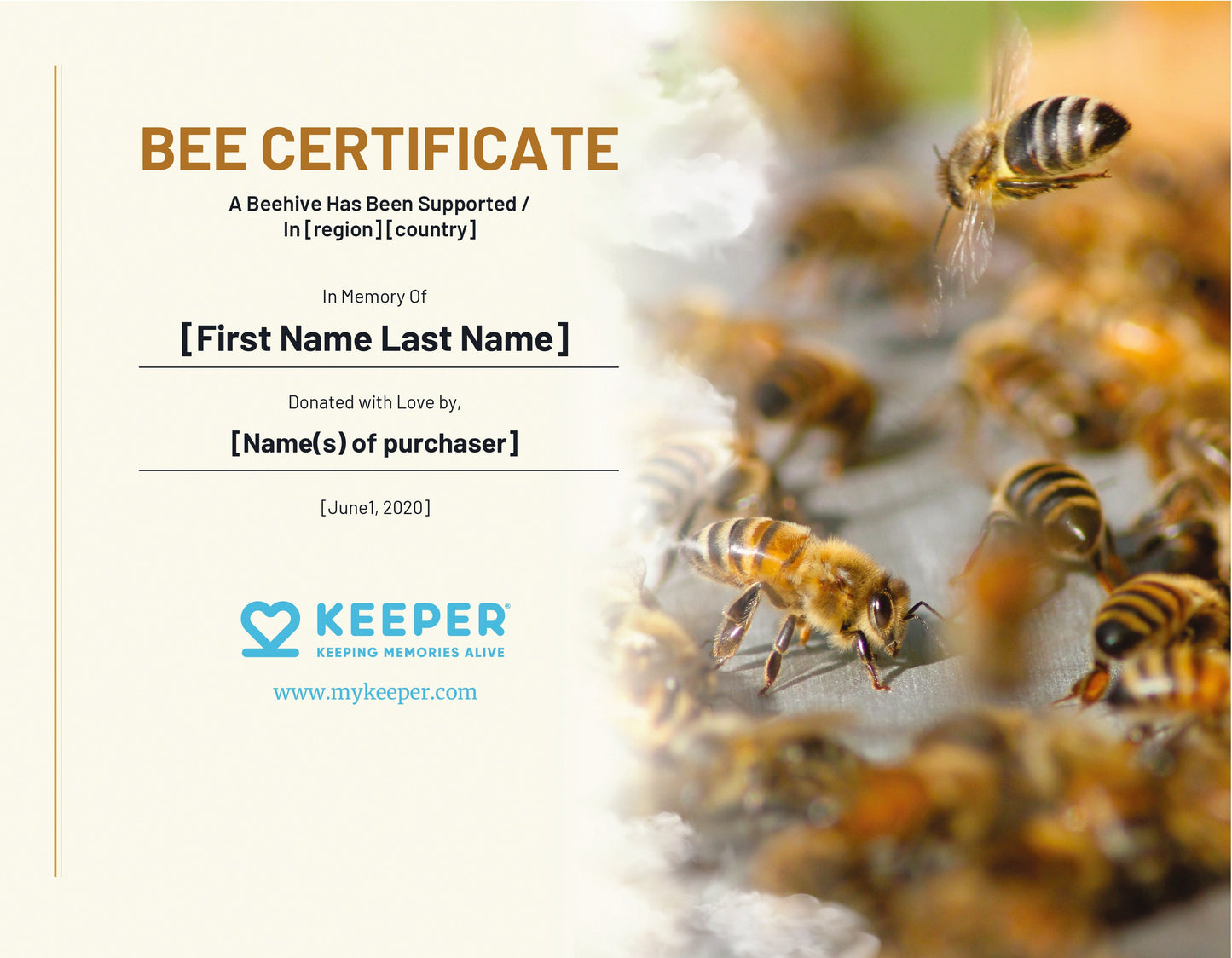 Protejamos a las abejas