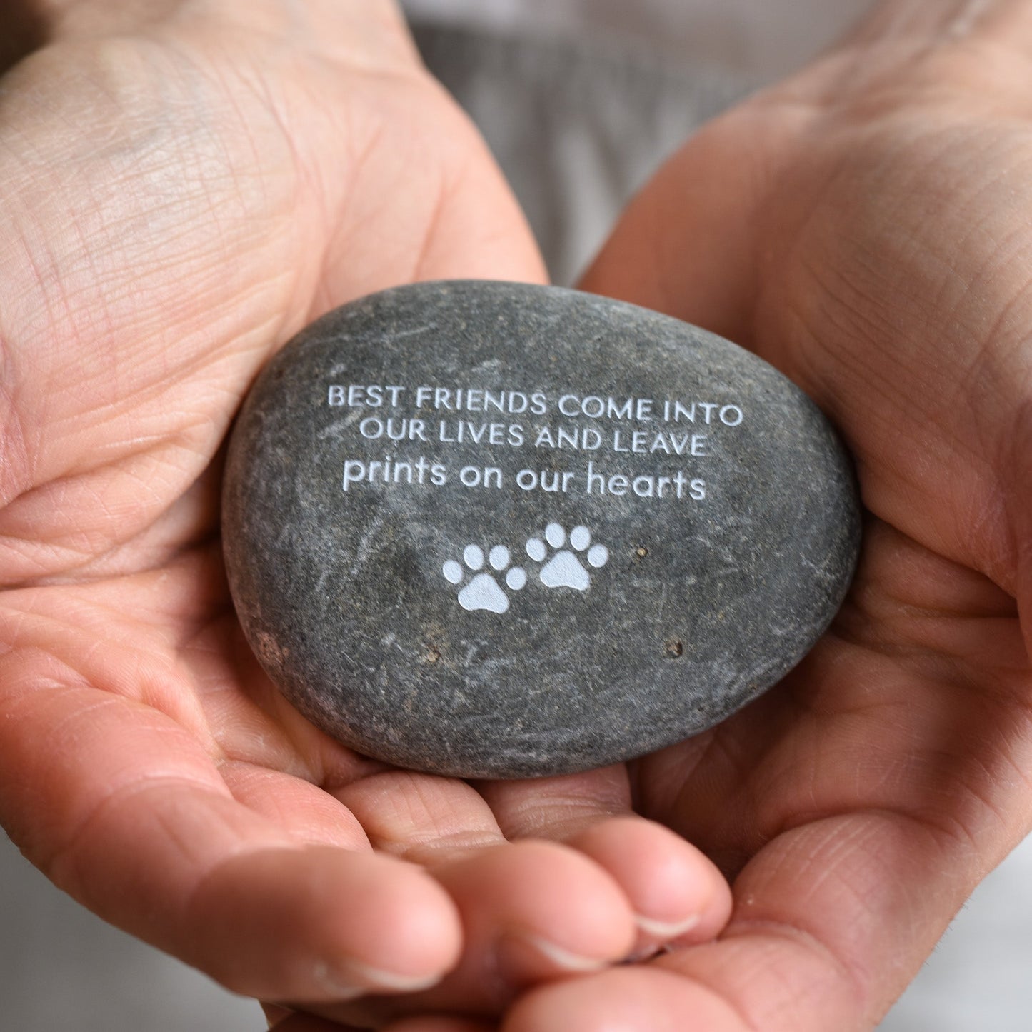 Piedra Conmemorativa para Mascotas