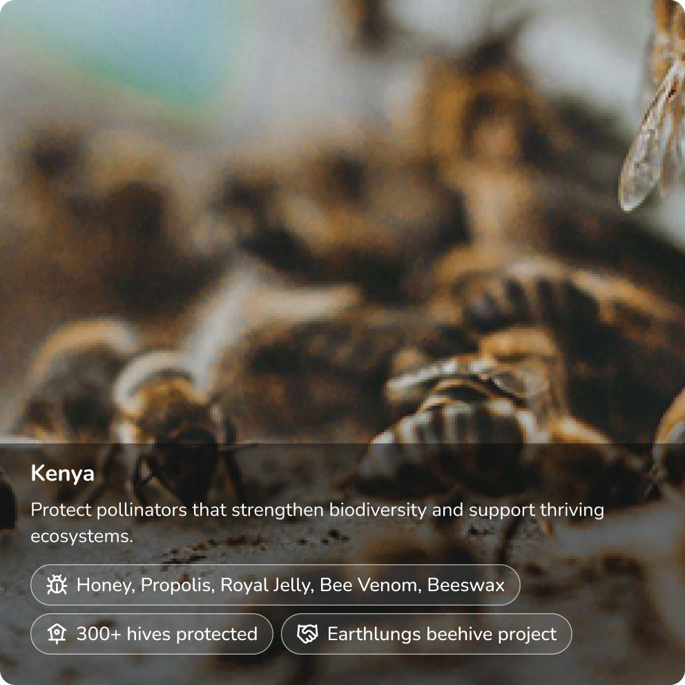 Protejamos a las abejas