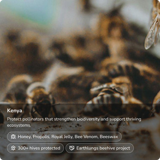 Protejamos a las abejas